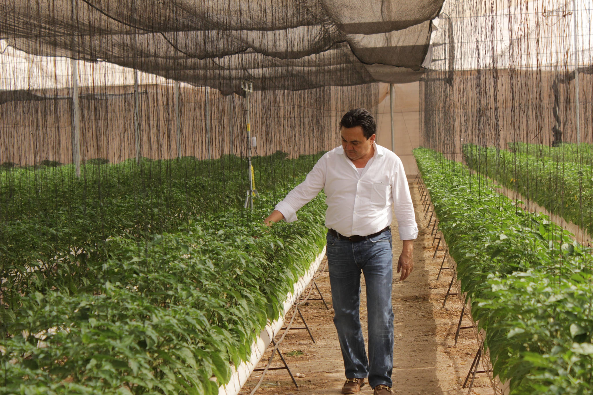 Con mayor tecnología buscan acercar a jóvenes al campo